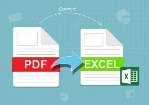 pdf -to-excel-data-entry-services